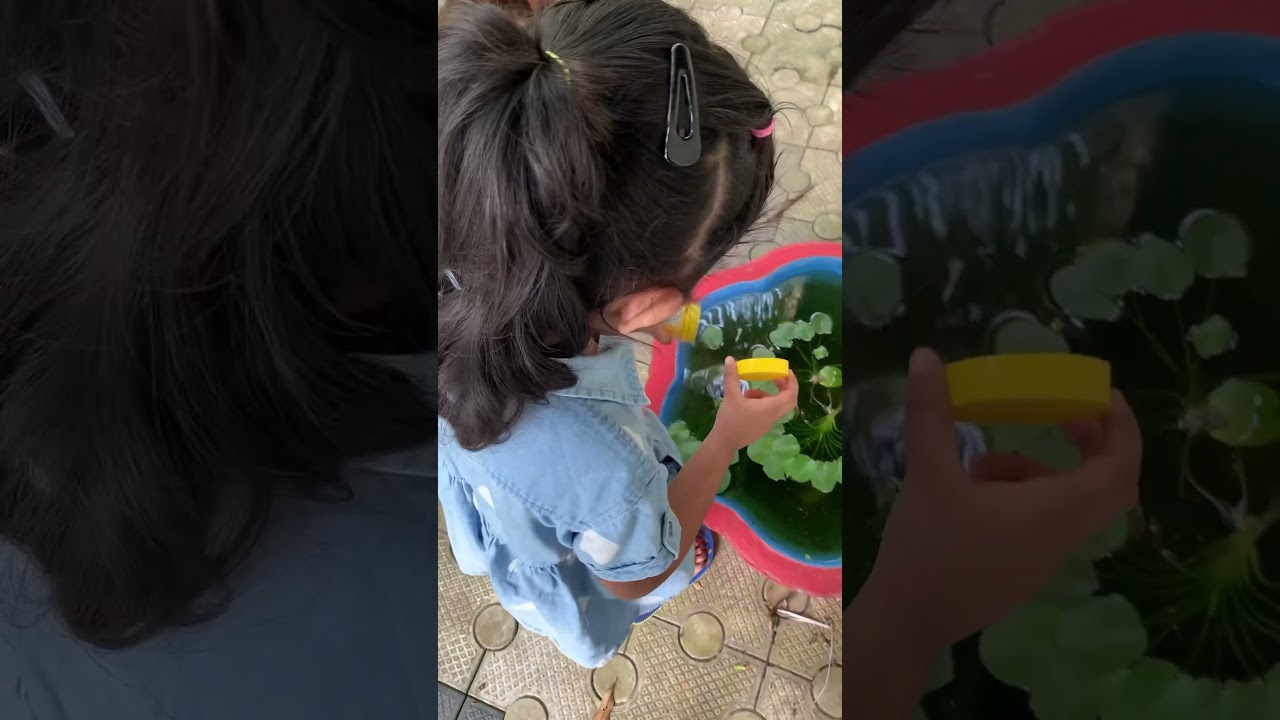 Krishanya's Fish-Feeding Fun🐟 #shortsviral #baby #kids #feedingfish #fishfeeding