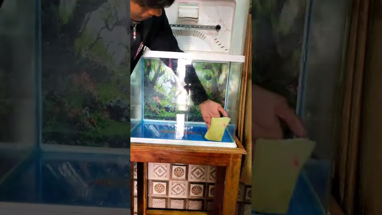 🆕Moulded Aquarium Full Setup 🐋🦈🐬🐠