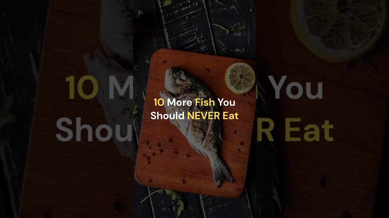 🐟Next FISH Animals_4k_Video_03_Shorts|#fish #fishing #shorts #viral @phannphuyfishing