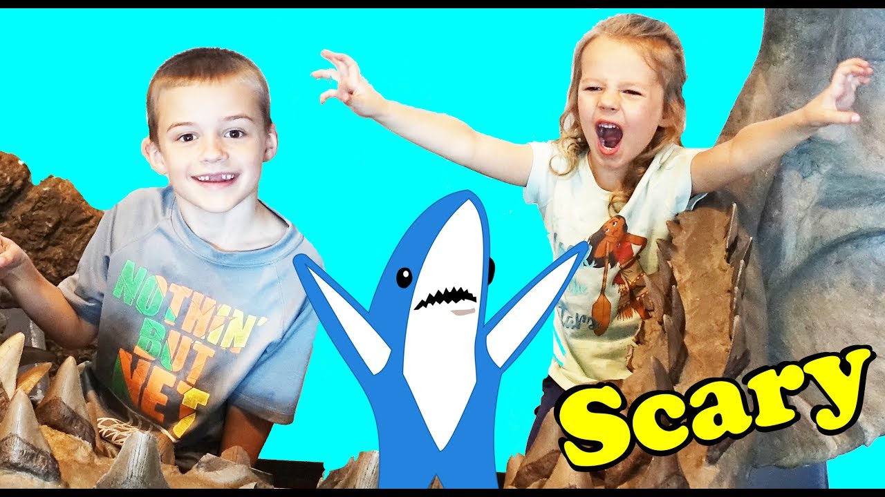 WE PET A SHARK!!! Aquarium Day With The Kids