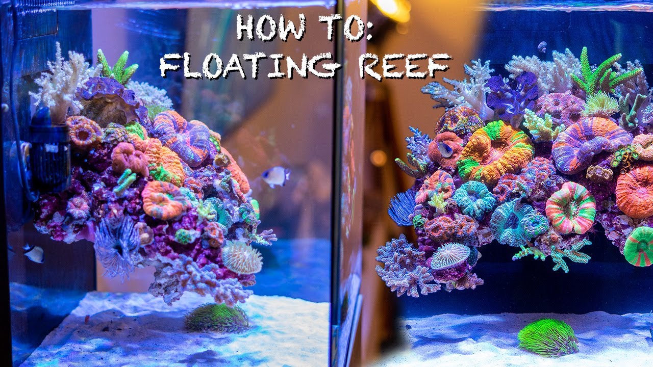 REEF AQUASCAPES – "floating reef tank" HOW TO SETUP – Nano aquarium