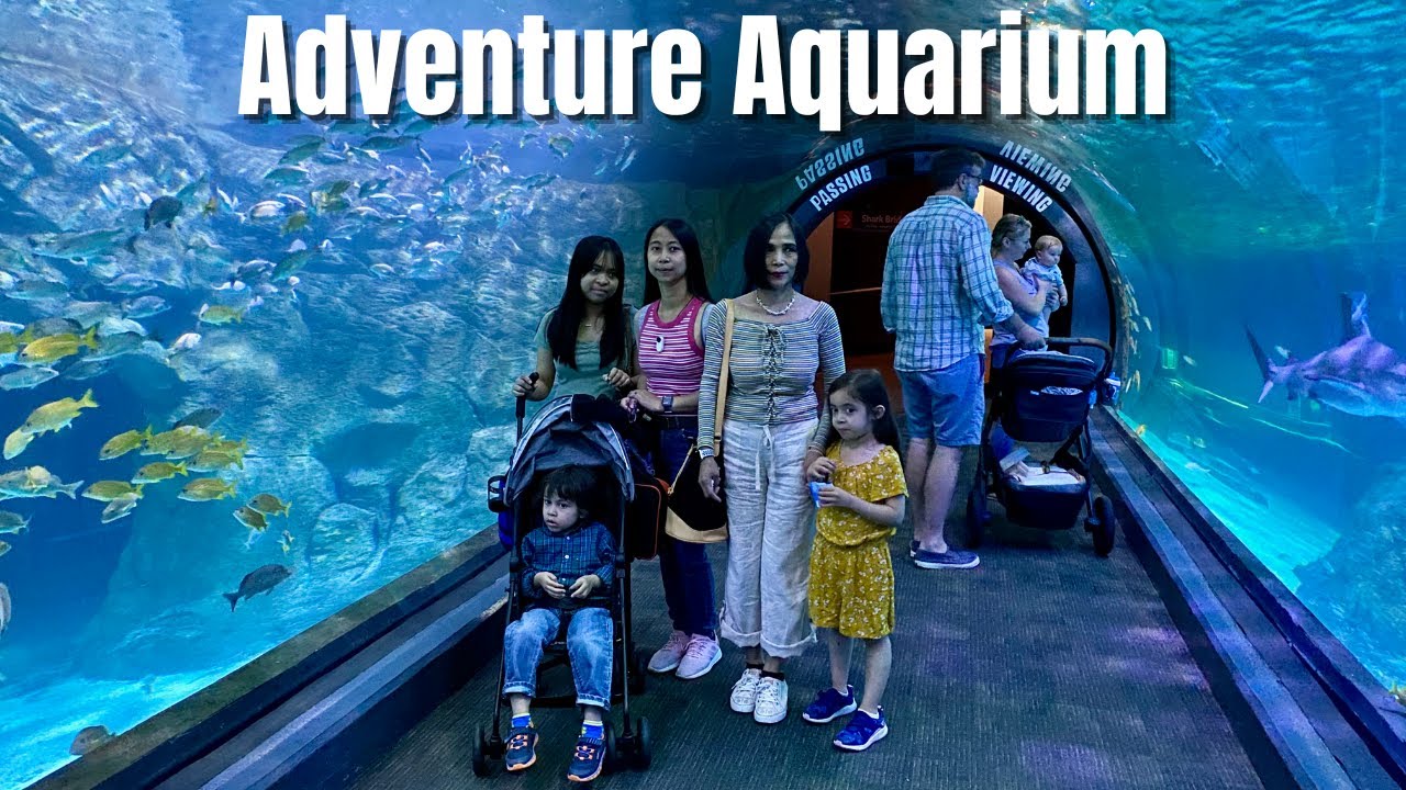 Adventure Aquarium Camden, NJ (Tour) 2022 July 3 – First Time Experience!