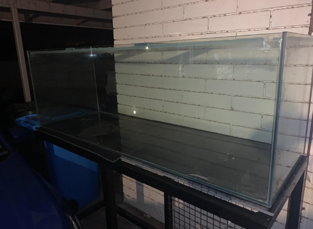 Best & Safest Aquarium Silicone Brands to Choose From
