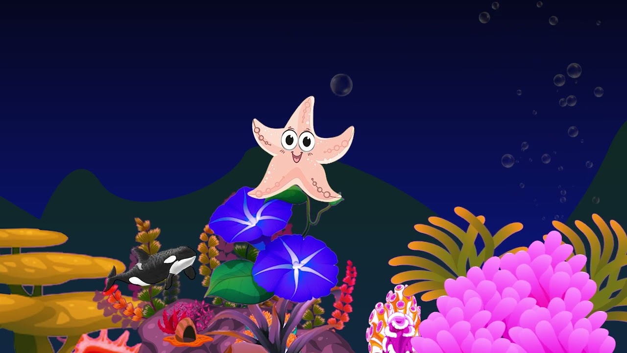 Fish video, Baby Lullaby  Soothing fishes Calming Undersea Animation  Aquarium, Fish lullaby #006