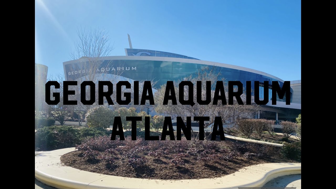 Georgia Aquarium | Atlanta Downtown | Full Informative Video | World's Largest Aquarium | USA