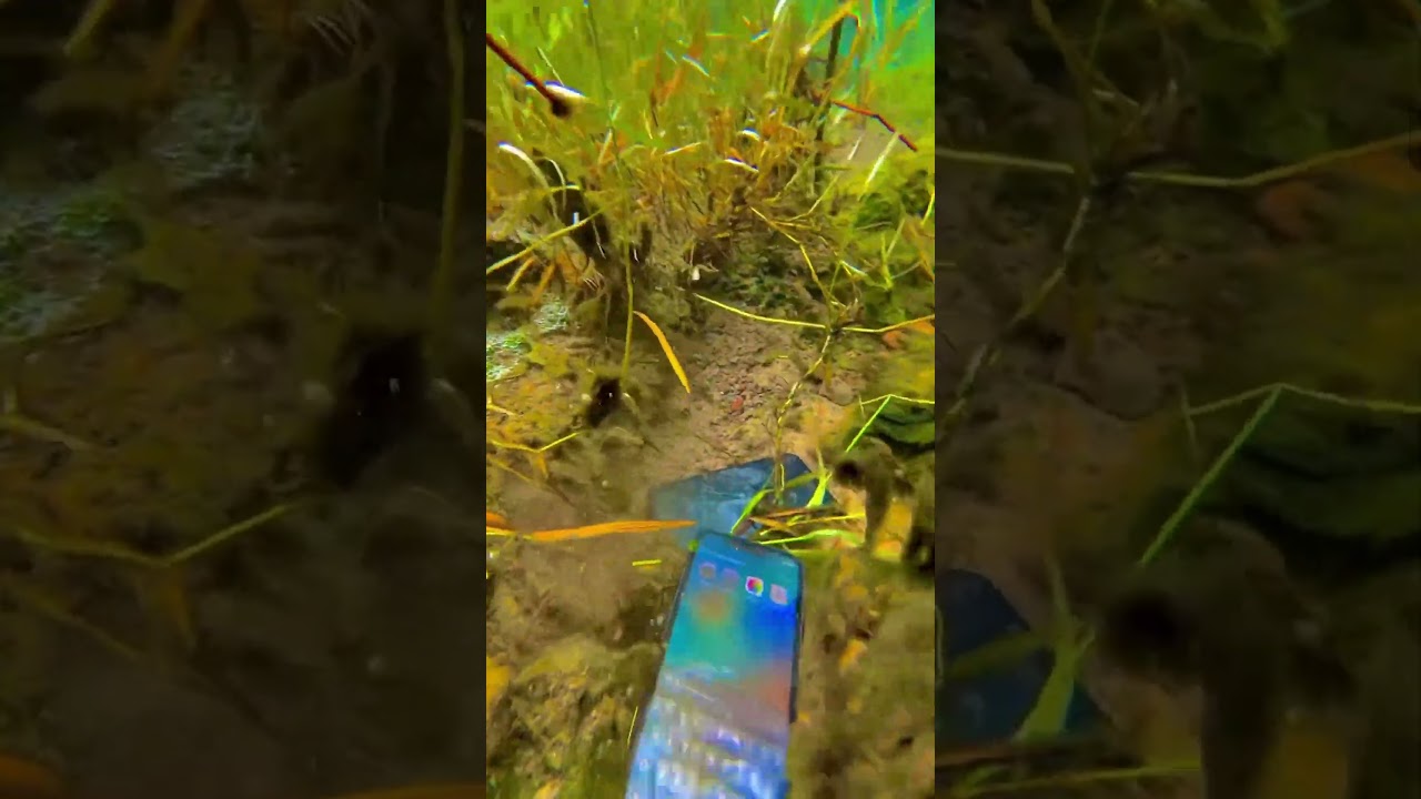 phones video iPhone photography iPhone #mobile photography