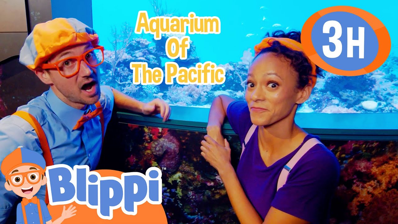 Aquarium of The Pacific | Blippi and Meekah Best Friend Adventures | Educational Videos for Kids