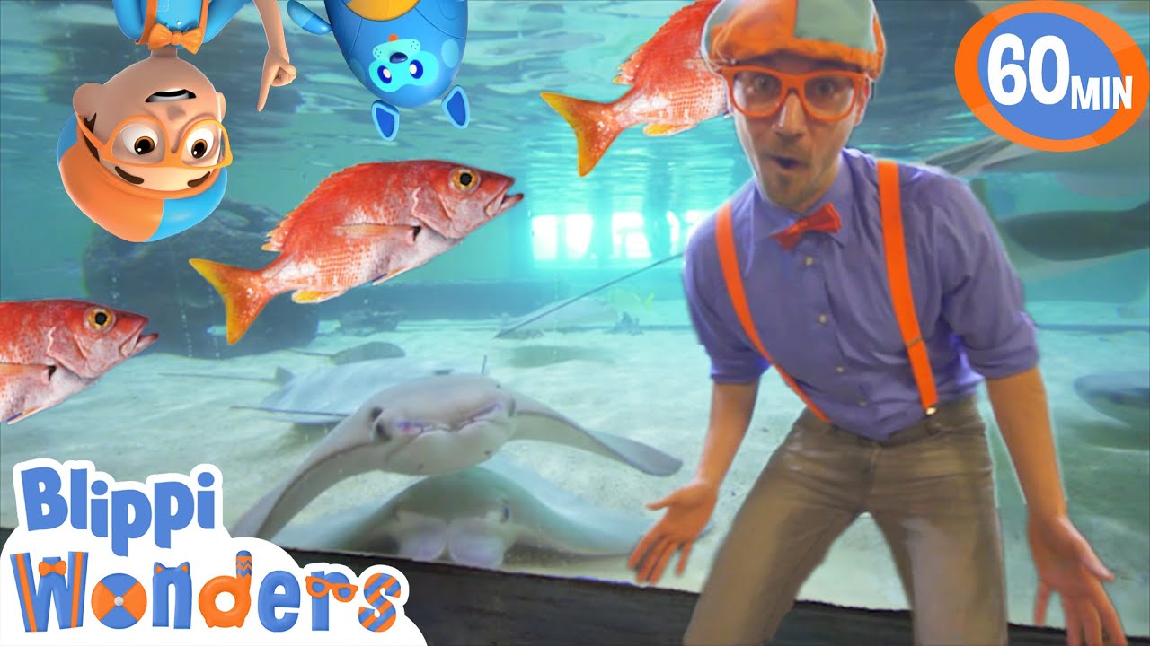 Blippi Visits an Aquarium! | Blippi & Blippi Wonders Educational Videos for Kids