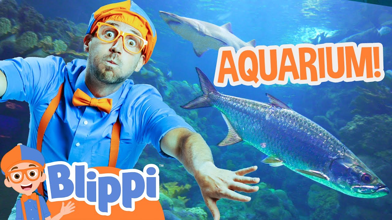 Blippi Visits an Aquarium (Florida) | Blippi Full Episodes | Animal Videos for Kids | Blippi Toys