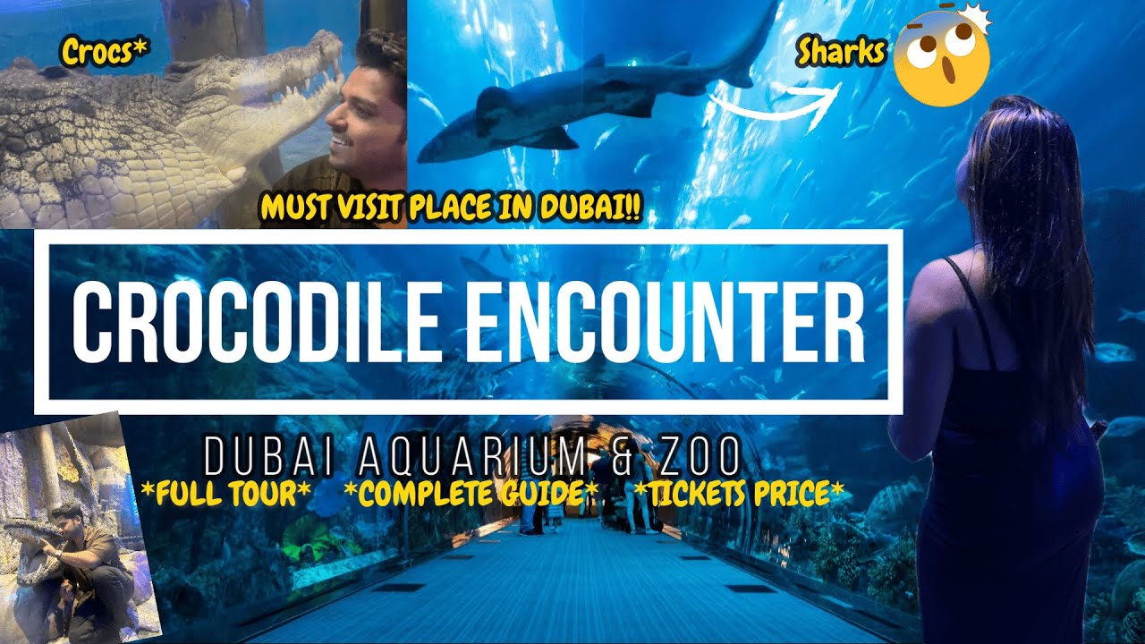 SAMANDAR KI DUNIYA {DUBAI AQUARIUM & UNDERWATER ZOO} Travel Guide, Complete Info, AYUSHIMAHORE