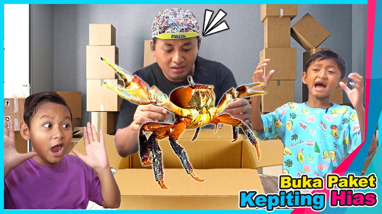 Beli Kepiting Hias Aquarium Hati Hati Dicapit | Buka Paket 🦀 Praya Family