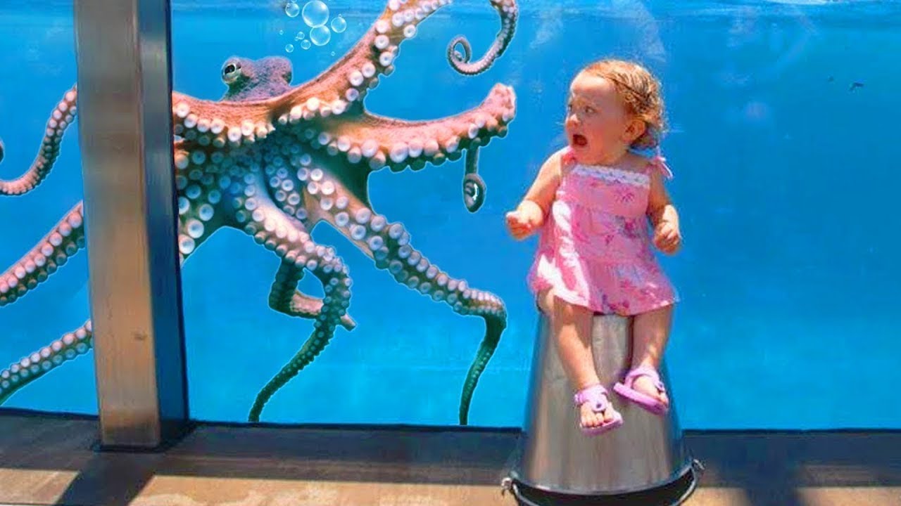 Funny Baby at the Aquarium   TRY NOT TO LAUGH