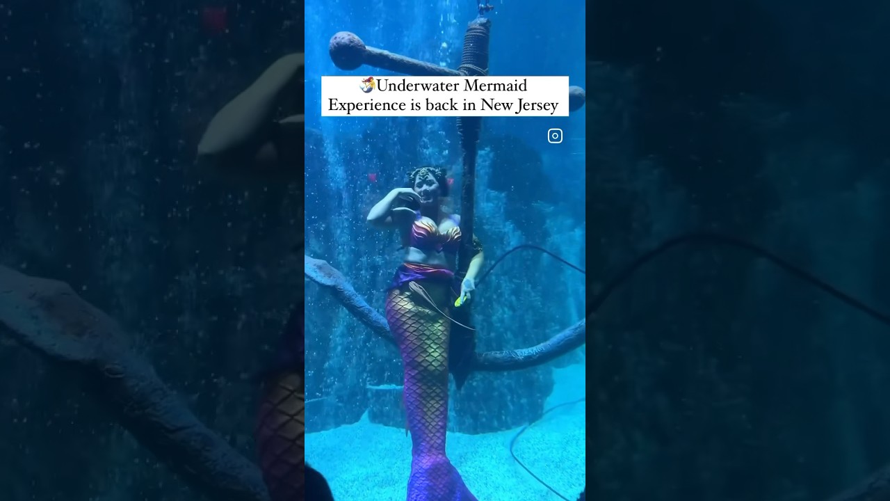 Meet Real Mermaids at NJ's Adventure Aquarium! #shorts #kids #aquarium