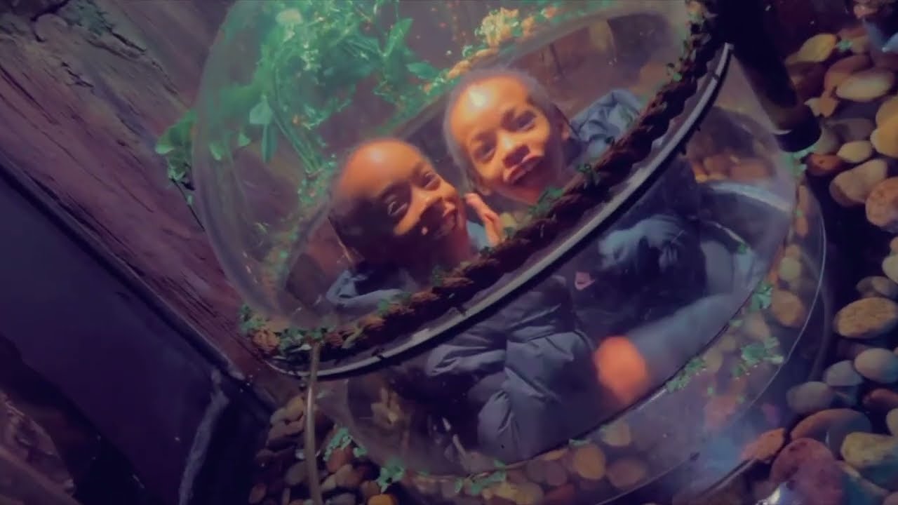 Sea Life London Aquarium | The Mitchell Family Vlog April 22