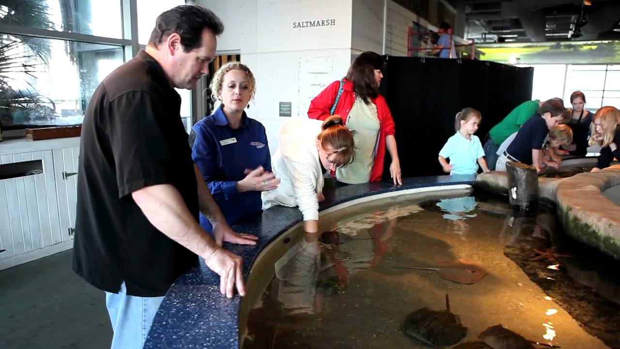South Carolina Aquarium