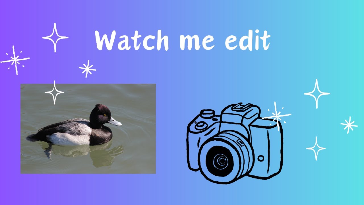 Watch me edit. Editing photos from the Dallas World Aquarium. #birds #animals #photography #editing