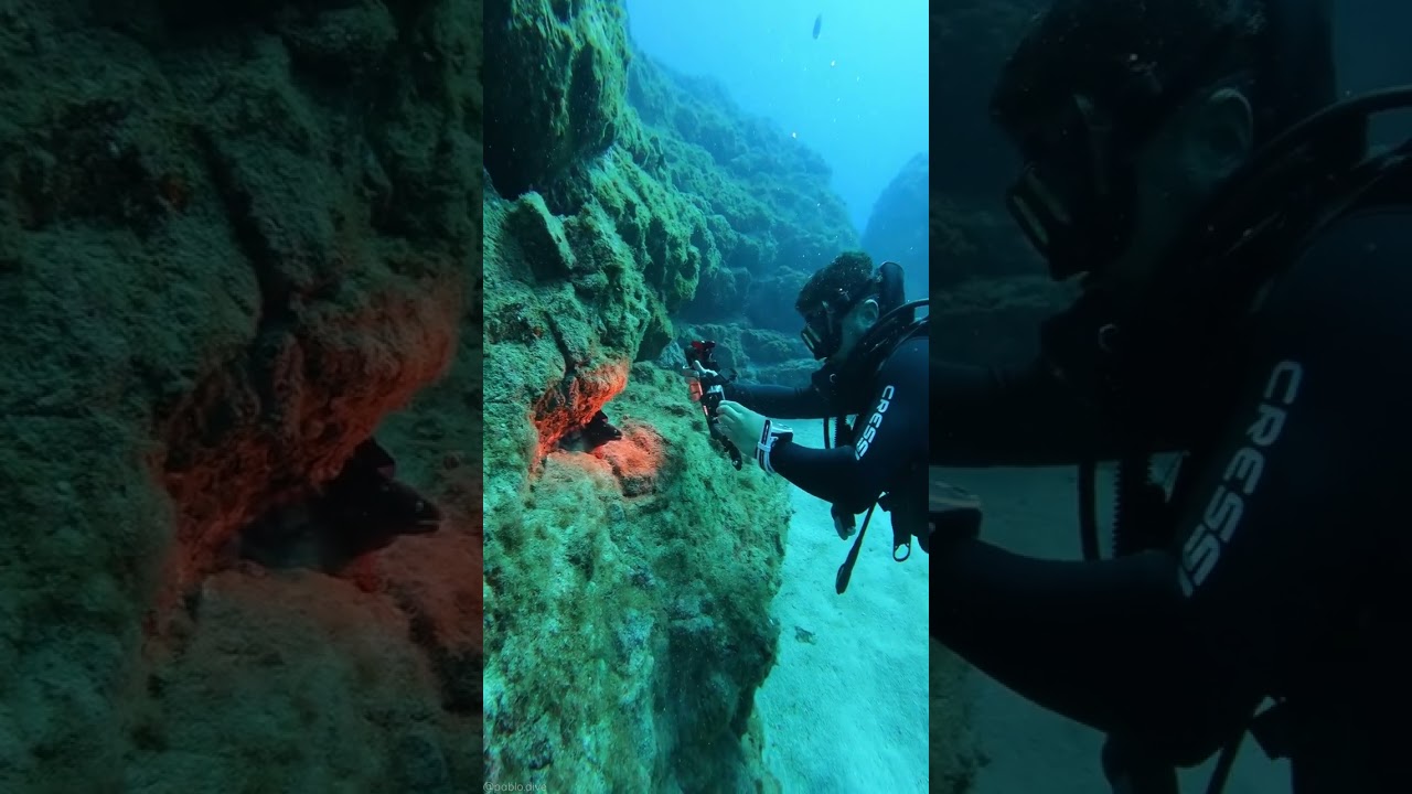 amazing photography video shorts#viral #shorts #video #natural #youtube #music #vlog #photography