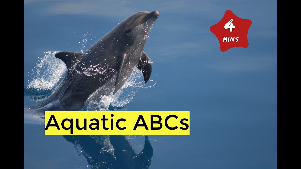 Alphabet Aquarium | Learn ABCs with Aquatic animals (Kids and Toddlers)