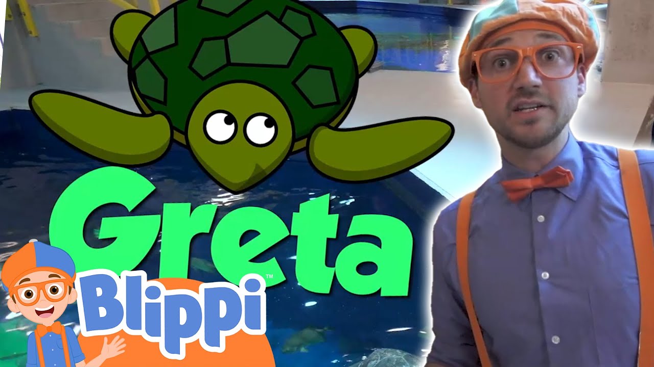 Blippi Visits an Aquarium| Animals for Kids | Animal Cartoons | Funny Cartoons | Learn about Animals