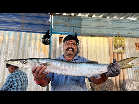 SHEELA FISH 😋 CUTTING BY KASIMEDU SIRUTHAI DHURAI 💪⚔️