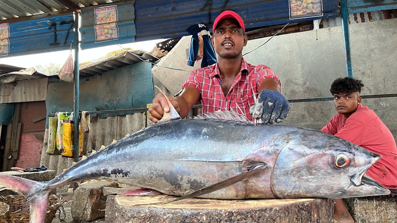 TUNA FISH 🤩 CUTTING BY KASIMEDU SHANKAR ⚔️🔥