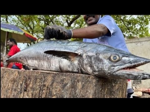 VANJARAM FISH 🤩 FANTASTIC CUTTING ⚔️🔥||KASIMEDU FISH MARKET 🏖️🌊