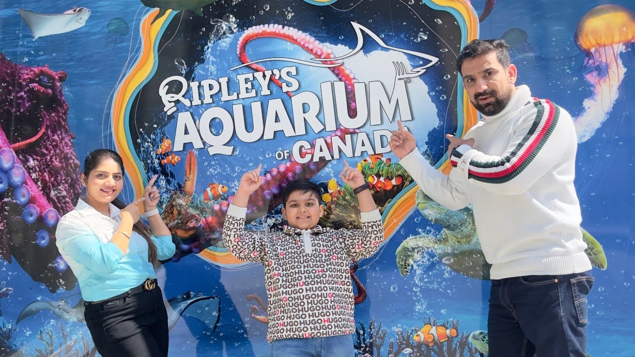 Visit with us Ripley's Aquarium of Canada | Toronto 2024 | Canada Trips |