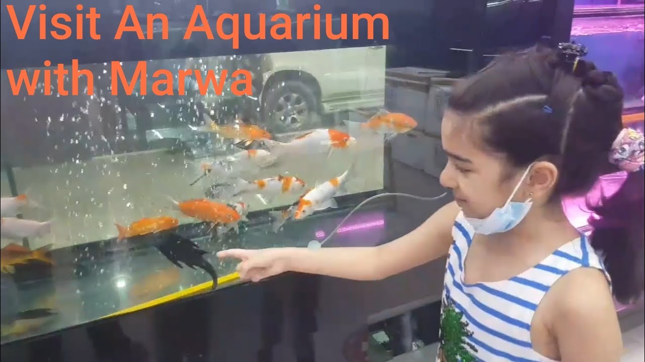 Marwa Visits An Aquarium | Fish and Animals for Kids and Toddlers