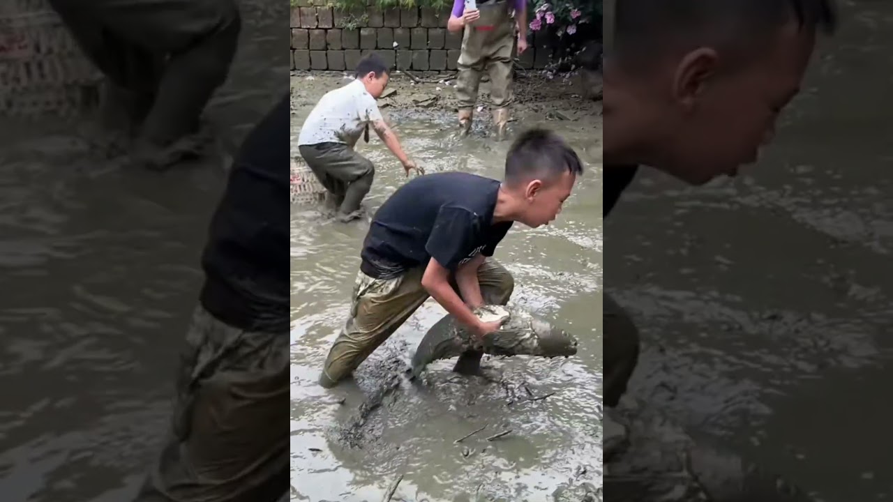 fish in mud 🐟🐟🐟#shorts #instagood #nature #water #fisherman #animals #love @yrf @DaddyYankee