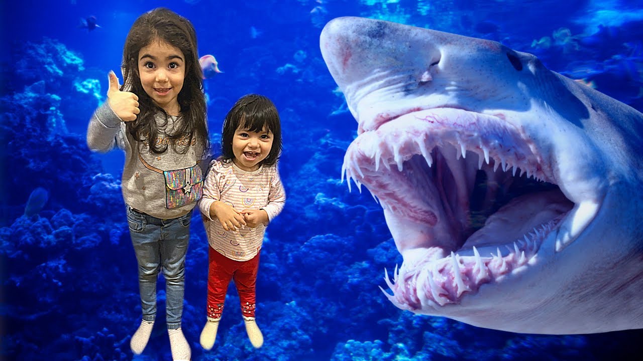 Aurora and Aina visiting London Aquarium. Fun family video