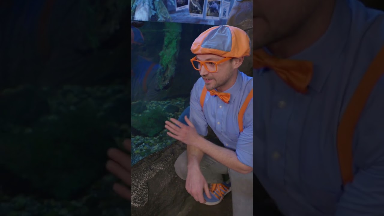 Blippi Finds Out Fish Eat THIS Food? | #shorts #blippi #fish #educational #learn #kids #food
