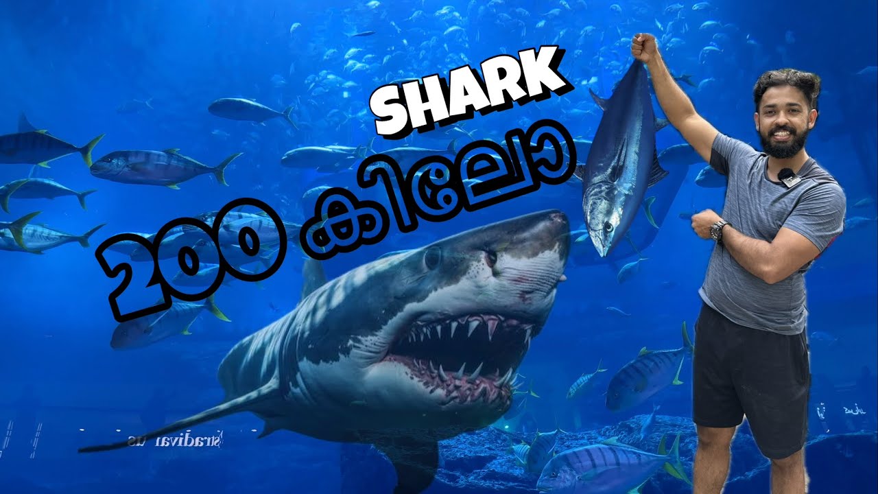 EP-02💥Monster Fishes in DUBAI underwater aquarium!!!