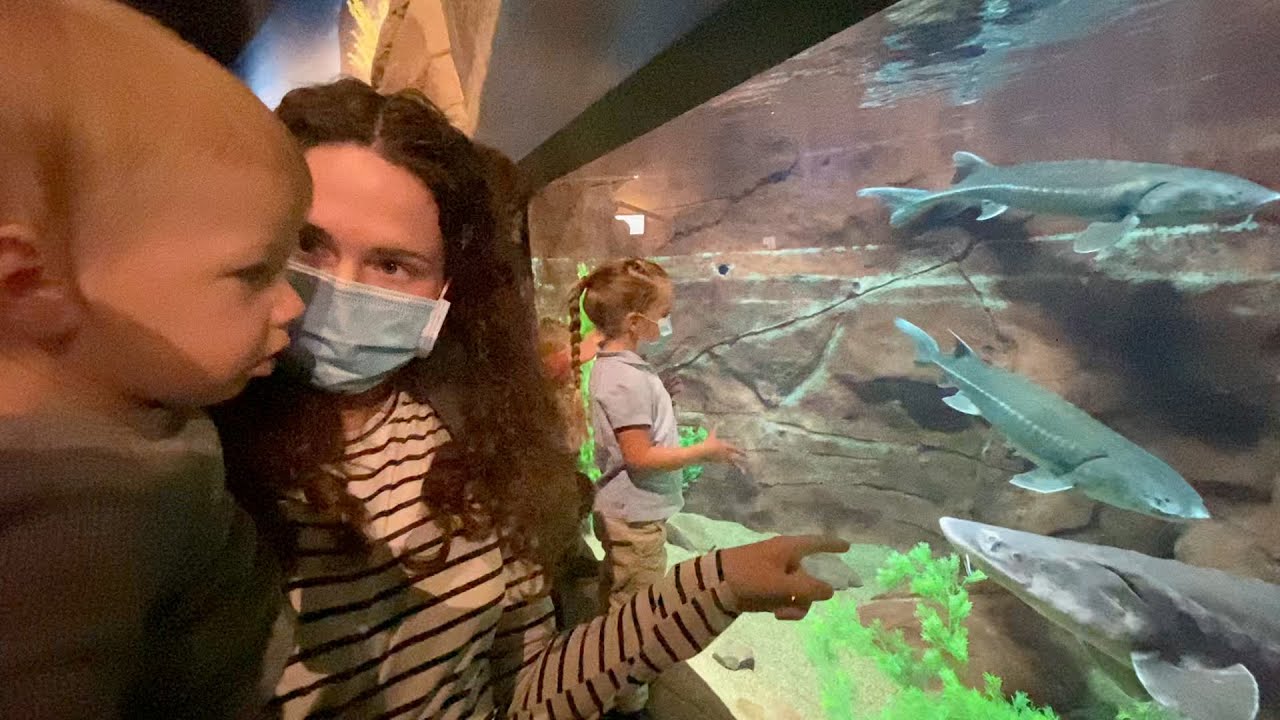 Family Trip To The Aquarium For The First Time! Utah Aquarium