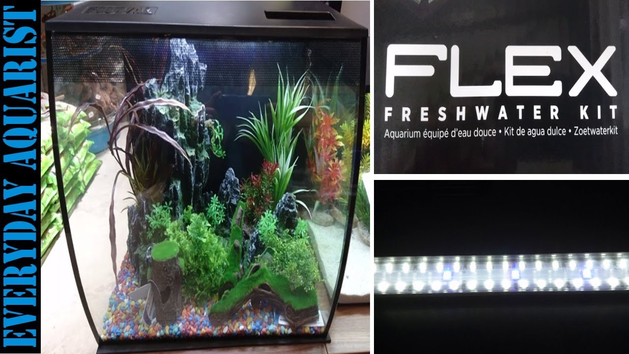 Fluval Flex Curved Aquarium 57L 34L QUICK REVIEW
