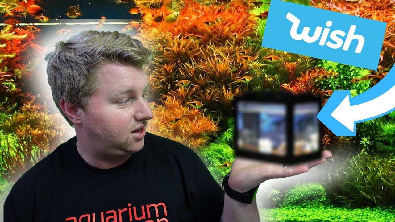 Ordering Aquarium Items from Wish.com