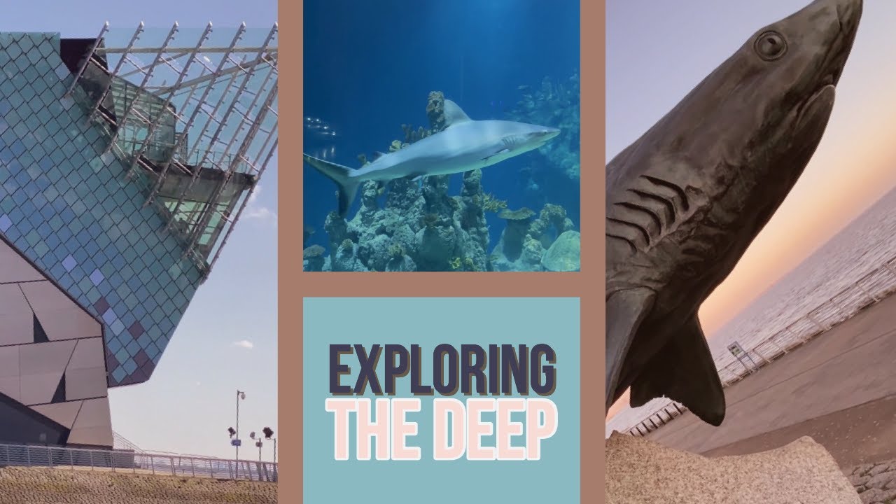 AQUARIUM Visit with Family | Exploring The Deep in Hull