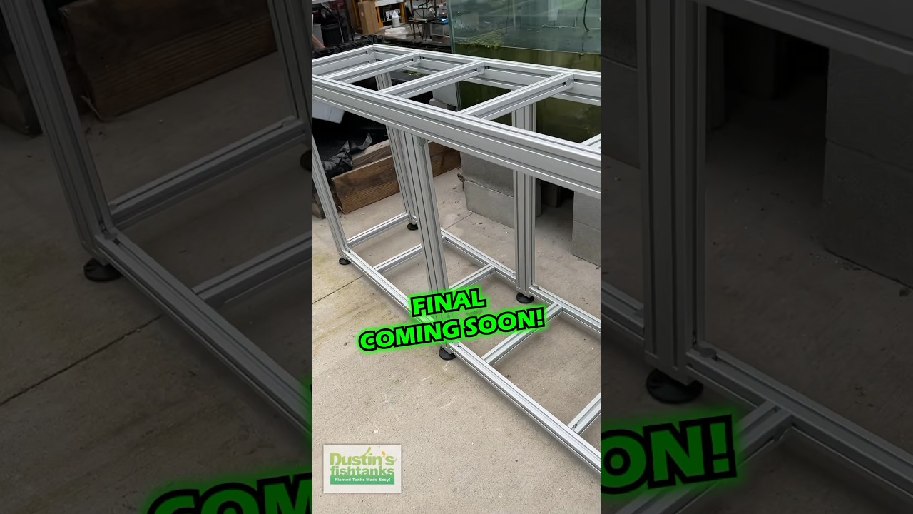 Industry Leading Aquarium Stand Time Lapse Assembly