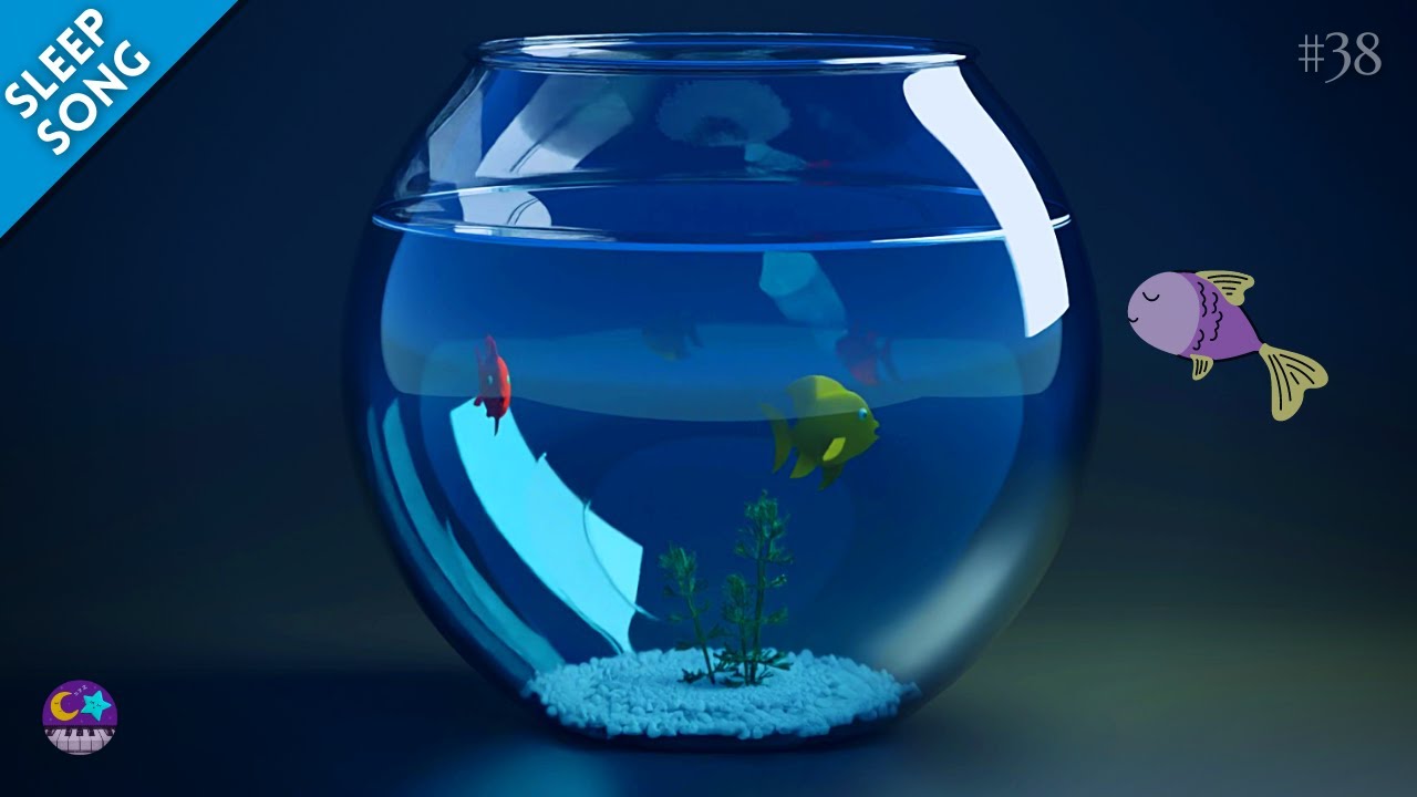 Goldfish lullaby – Fish tank song Relaxing aquarium Fish lullaby # 38