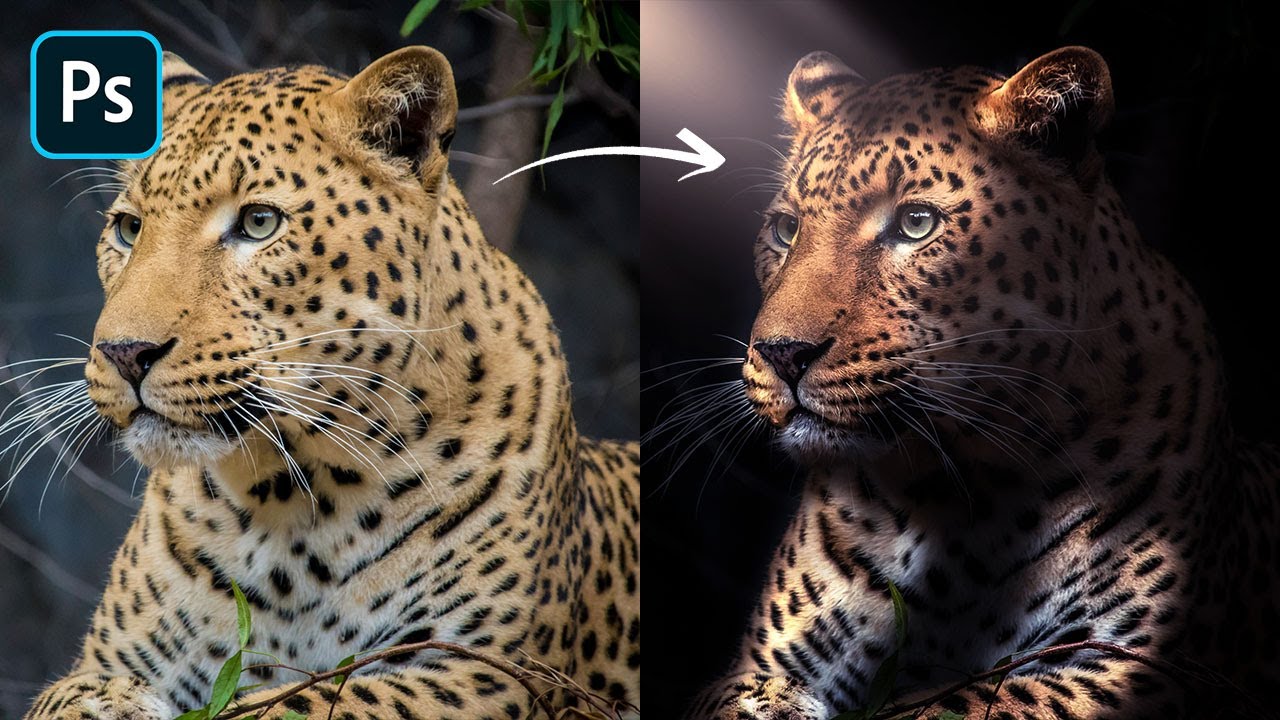 How to Edit a Photo into a Stunning Dark Portrait in 5 Minutes