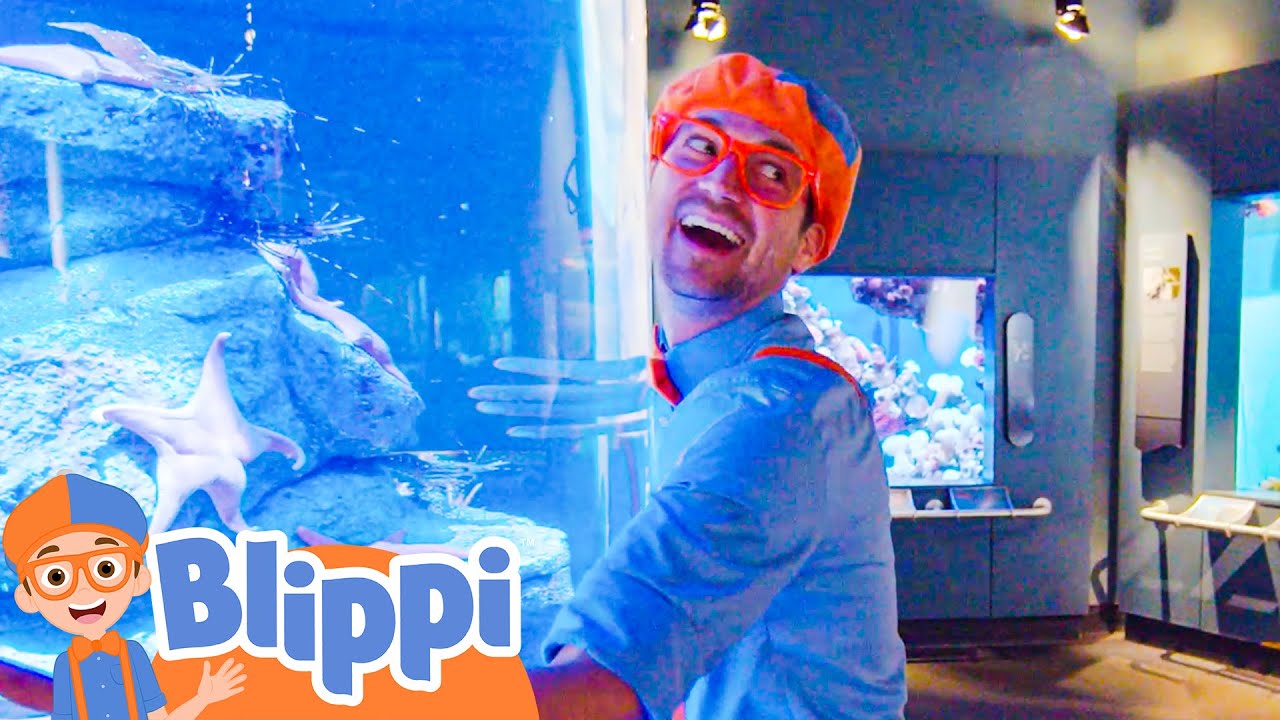 Aquarium of The Pacific | Blippi | Kids Songs | Moonbug Kids