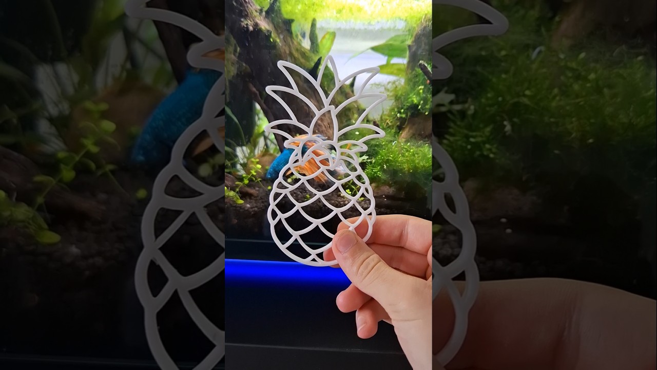 Making Fish Portals – Pineapple 🌱🐟🍍 #fish #shorts #fishtank #aquarium #aquascape