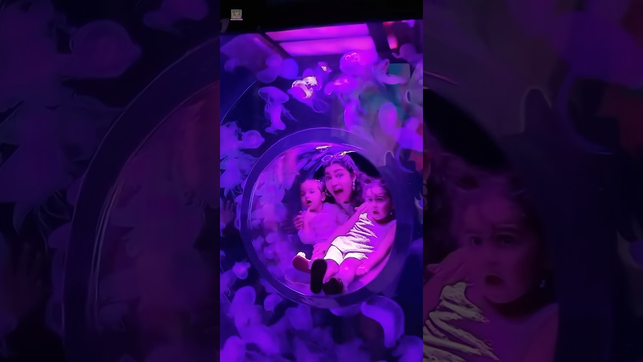 How therapeutic was the aquarium tour in Bangkok? Did you enjoy the blog? ￼