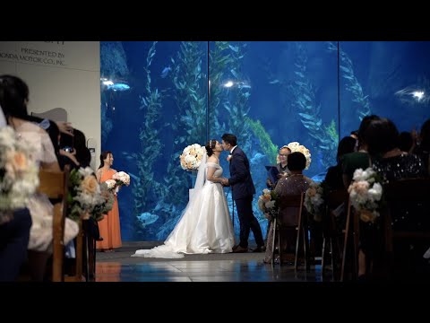 Aquarium of Pacific | Wedding Highlight | Stephanie & Terry