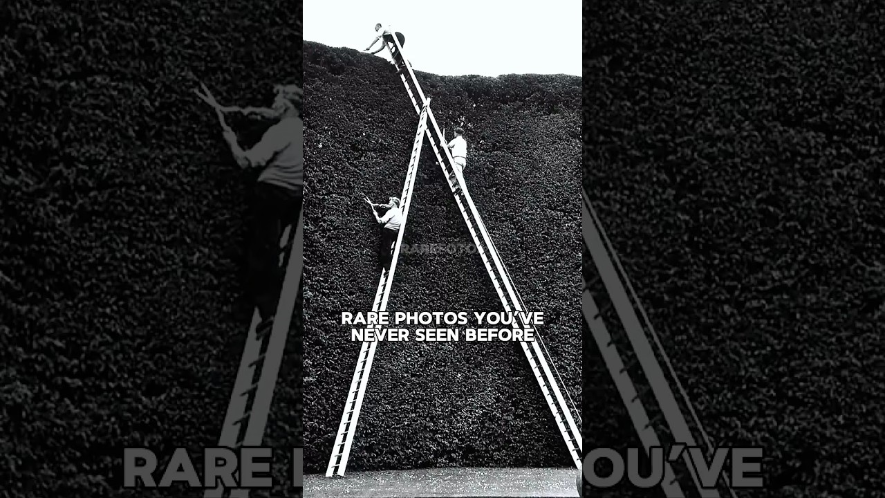 Rare Photos You Were Never Meant to See! #shorts