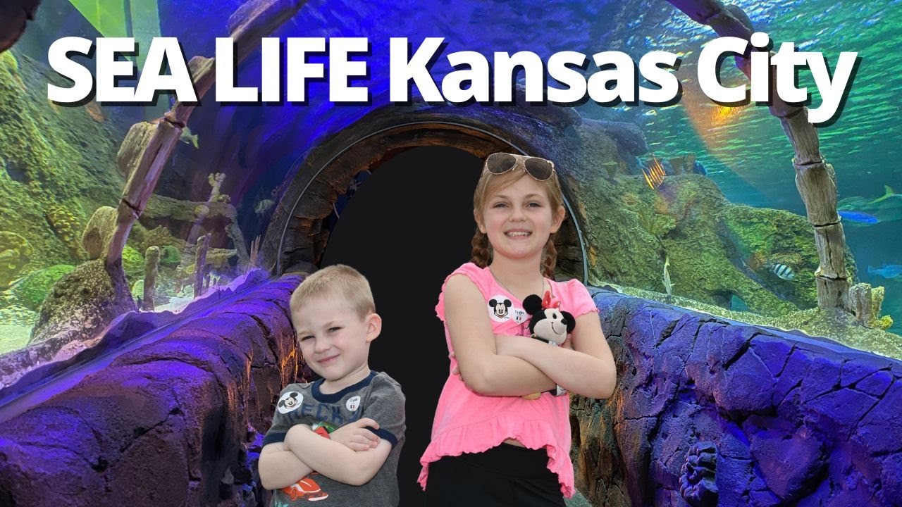 SEA LIFE Aquarium Kansas City