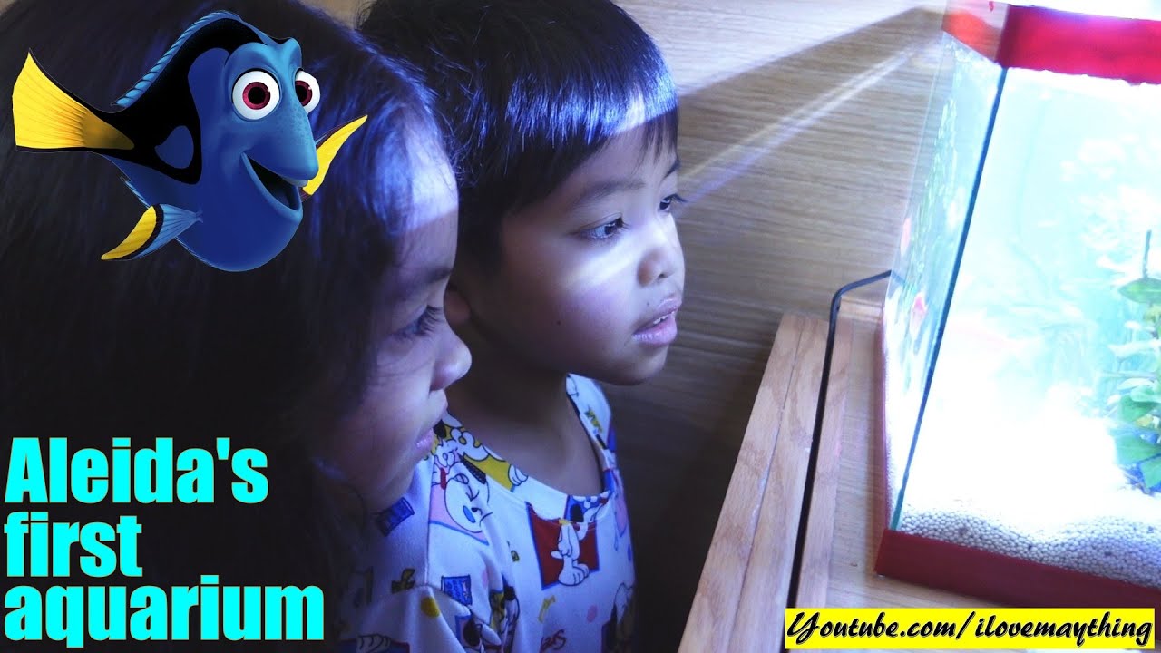 Aleida's First Aquarium. Children's Aquarium. Aquarium for Beginners. Kids Love Fish! Tetra Fish