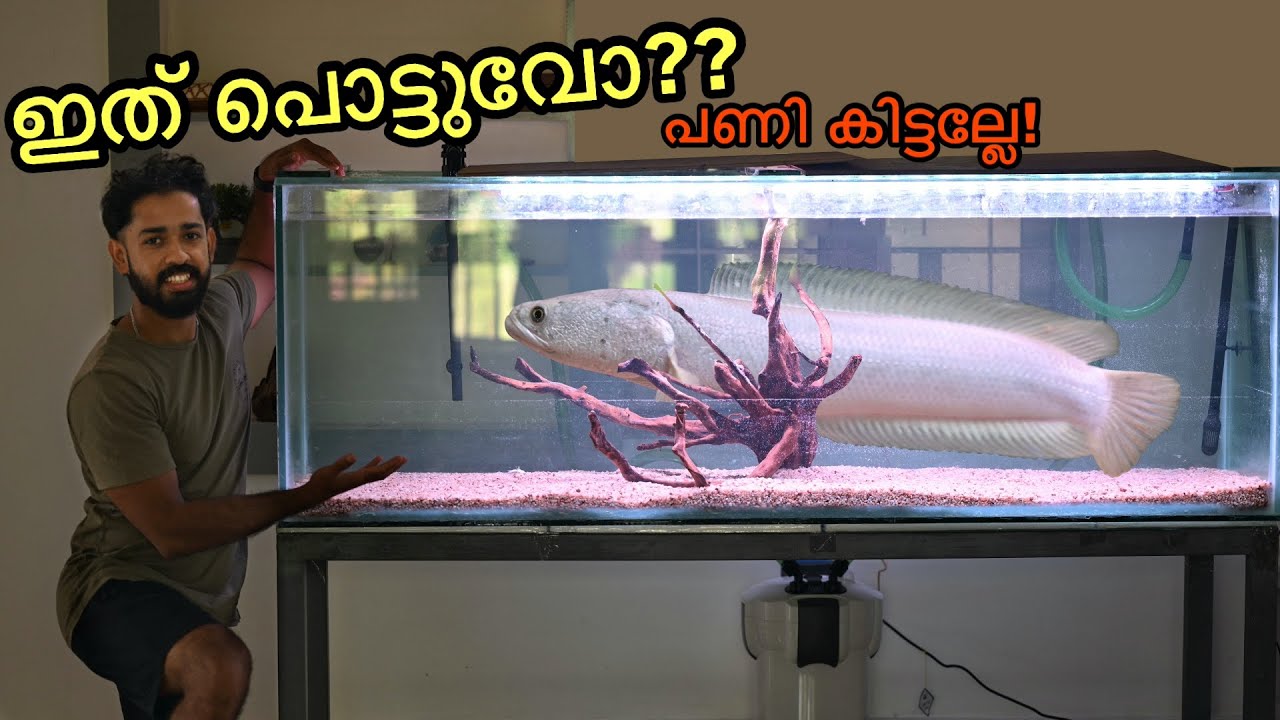 🔥ഒന്ന് പൊട്ടിയ “Aquarium” പിന്നെയും ഒട്ടിച്ചു!!| New GIANT aquarium
