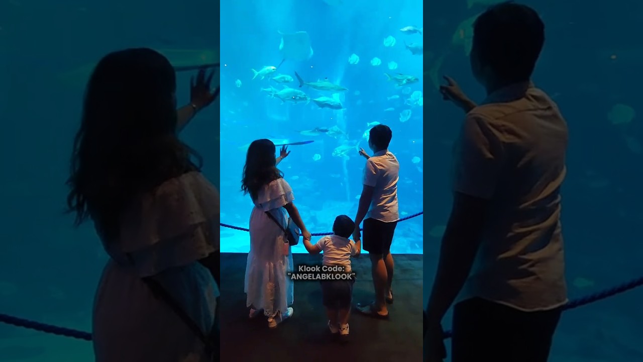 MUST VISIT FAMILY SPOT IN SINGAPORE