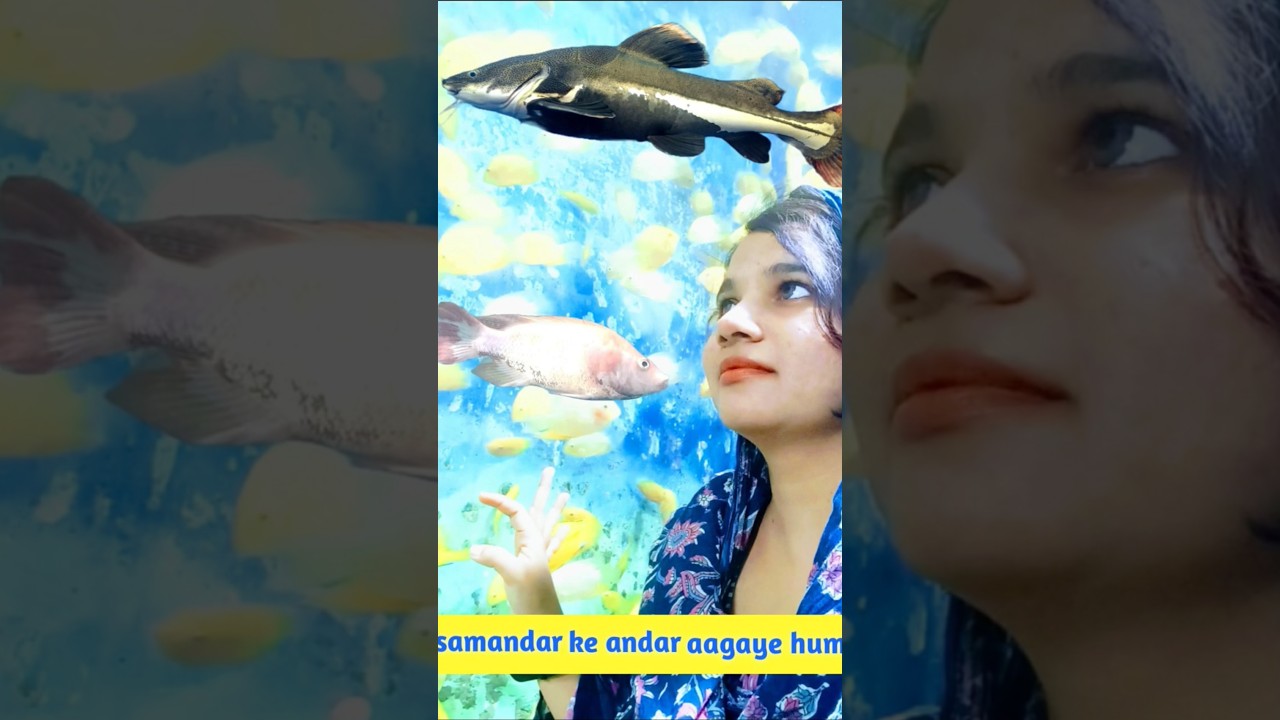 😱😍underwater aquarium tunnel #shortsfeed #trending #trendingshorts #family #music #entertainment