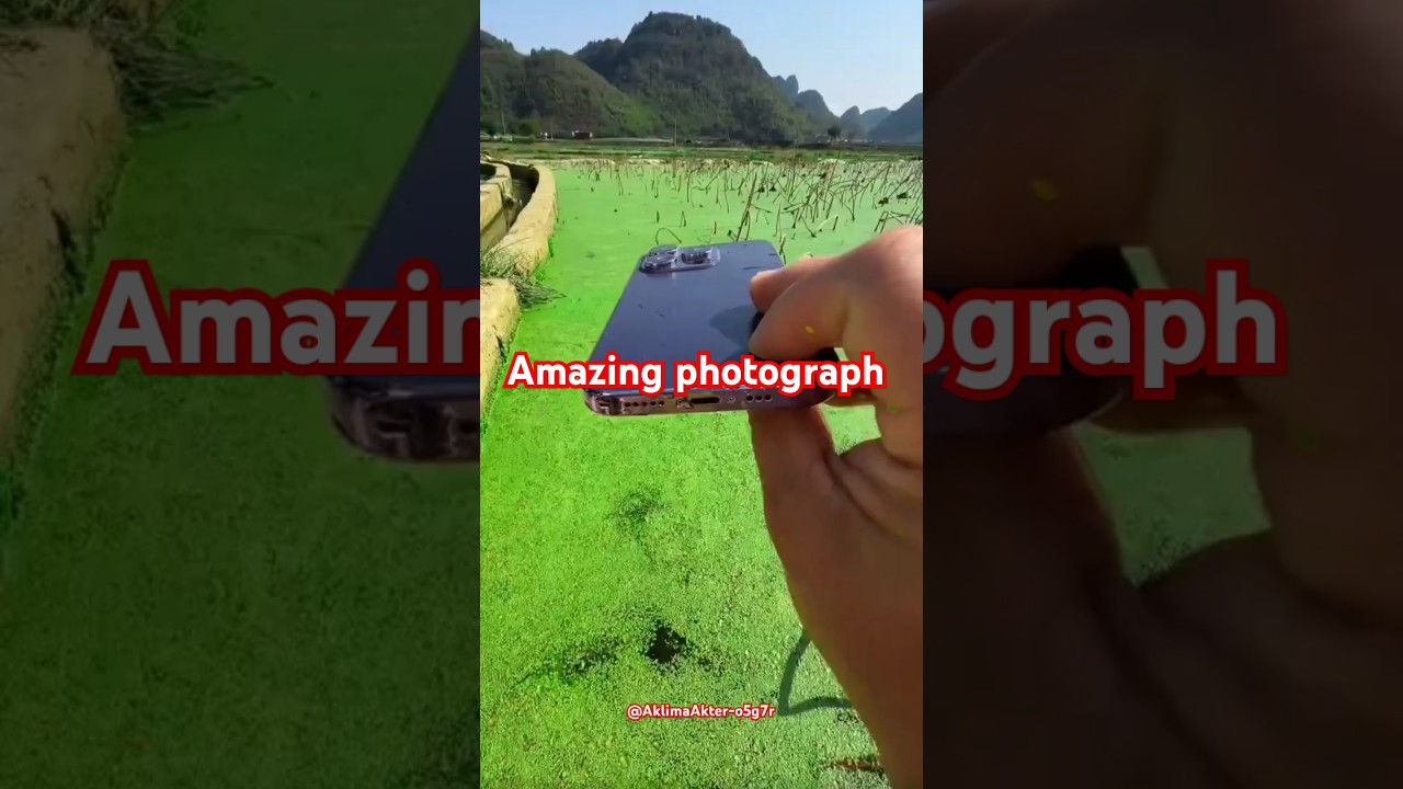 Amazing photography recitation #foryou #travel #shortvideo #trending #beautiful #youtubeshorts